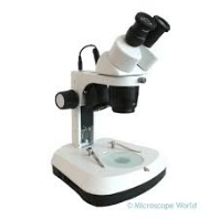 Microscope Dissecting